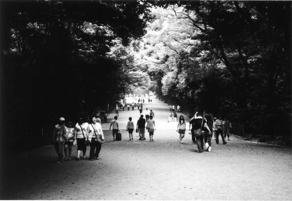 Park Park
