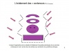Module 4B : Clinique du changement 