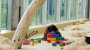 Orangutan Playing with Lego.mp4