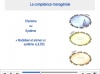 Module 1 : Les deux axes fondateurs du management 