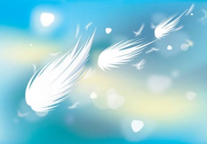 Les plumes dans le vent