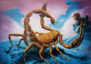 Le maître et le scorpion