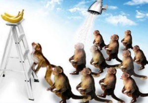 Théorème du singe