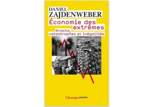 Economie des extrêmes : Krachs, catastrophes et inégalités