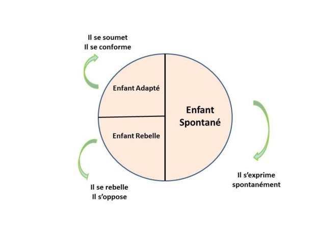 2.33 La psychanalyse expliquée concrètement aux manager : (Leçon 2 : La structure de la personnalité)