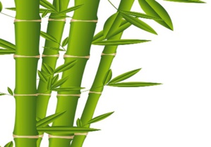 Quelle stratégie de croissance pour 2020 ? Quelle stratégie de croissance pour 2020 ?