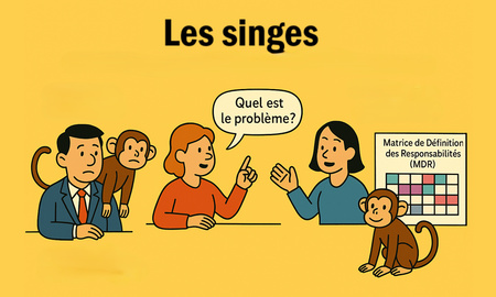 Les singes Les singes