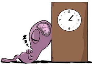 1.12 Chronobiologie et gestion du Temps : Comment gagner 1h 30 de sommeil par jour 