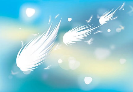 Les plumes dans le vent