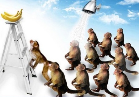 Théorème du singe