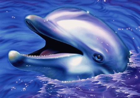 La parabole du dauphin