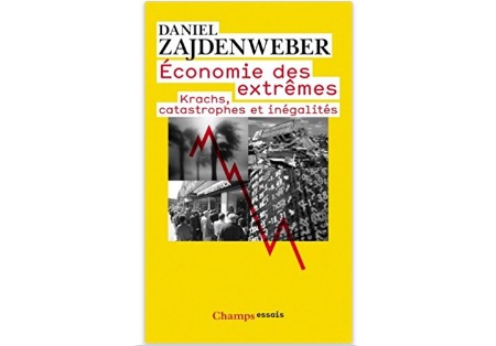 Economie des extrêmes : Krachs, catastrophes et inégalités