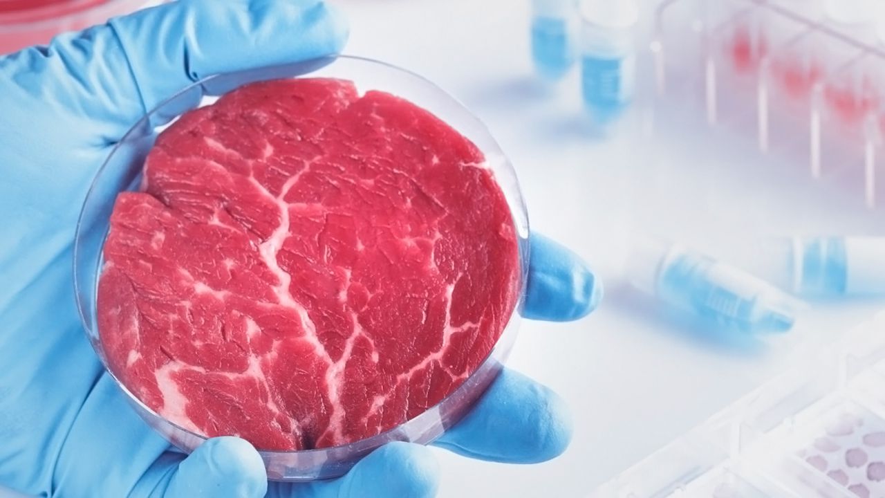 La viande de synthèse : Quel avenir en France ?