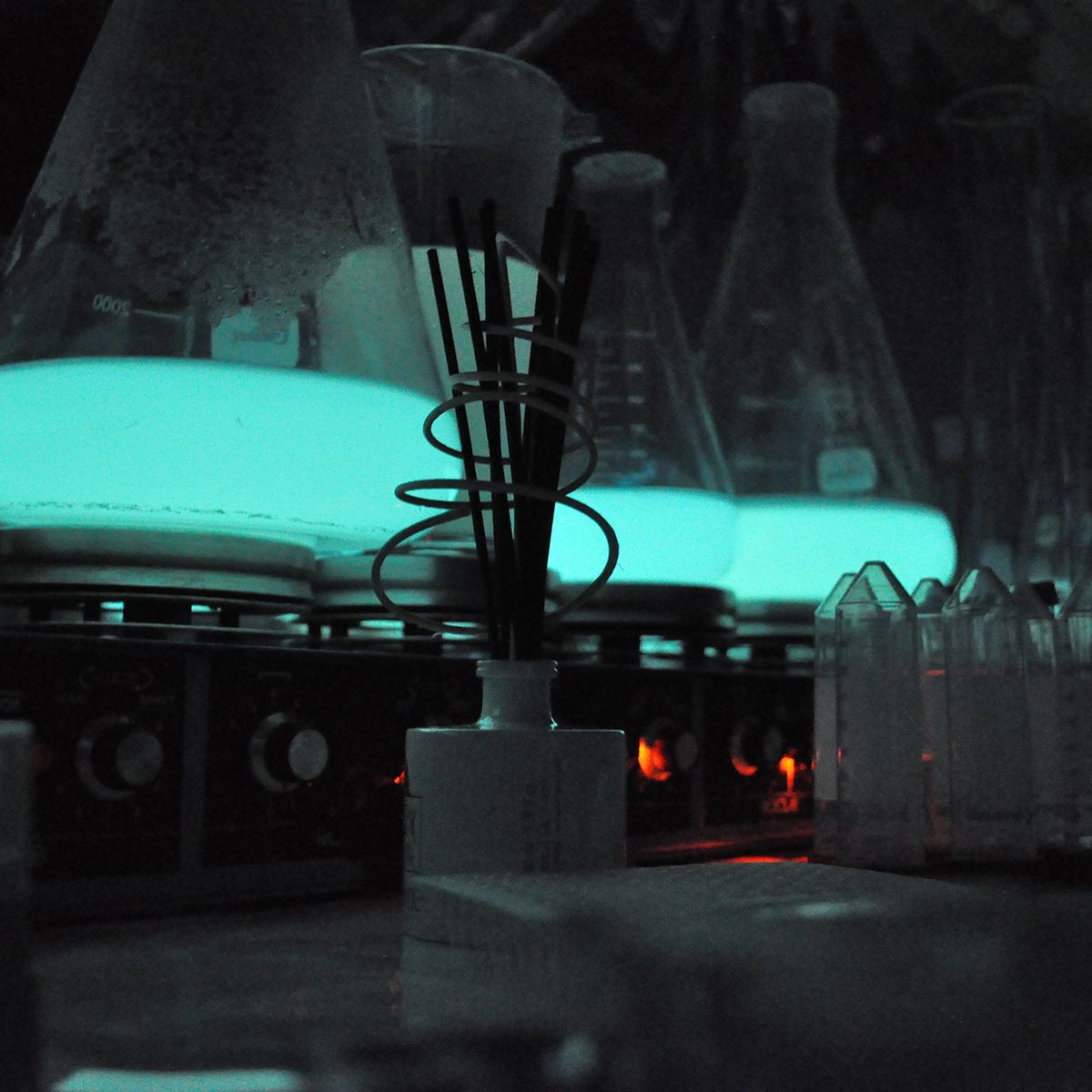 Les bactéries bioluminescentes cultivées en laboratoire par Glowee, GLOWEE, Ariane Schwab, FranceInfo