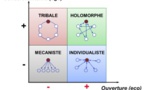 La sociodynamie