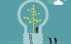 3.21 Le Développement Durable : De nouvelles pistes pour repenser les stratégies et les organisations