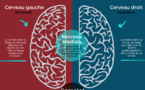Un cerveau harmonisé pour atteindre un objectif rêve
