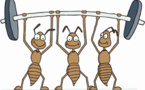 E - Formation 