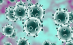 Corana Virus : une explication possible ?
