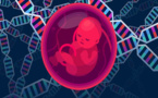 Bébé à la carte, un business de demain ?
