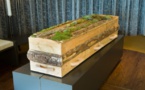 Quel avenir pour le post-mortem, source de pollution ? 
