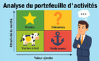 Analyse du Portefeuille d'activités Analyse du Portefeuille d'activités