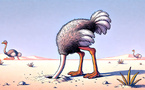 4.98 Nous sommes en 2050 : imaginons ce qui se passerait si on ne changeait rien..