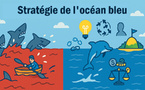 La stratégie Océan Bleu