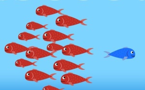 3.40 Comment construire votre stratégie Océan Bleu en créant une innovation Valeur  3.40 Comment construire votre stratégie Océan Bleu en créant une innovation Valeur