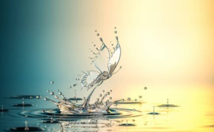 Un peu de sérénité pour penser le futur avec pertinence Un peu de sérénité pour penser le futur avec pertinence