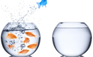 Sortir de l'océan rouge de la concurrence et naviguer dans l'océan bleu Sortir de l'océan rouge de la concurrence et naviguer dans l'océan bleu