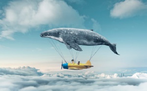 2.48 Comment mobiliser son équipe face à des défis d'exception avec les techniques actantielles  2.48 Comment mobiliser son équipe face à des défis d'exception avec les techniques actantielles