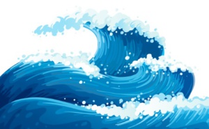 La petite vague