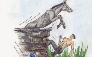 L'âne et le fermier