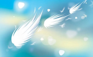 Les plumes dans le vent