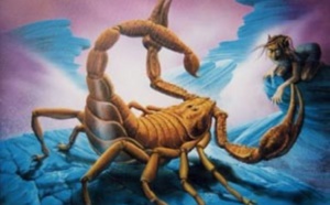 Le maître et le scorpion