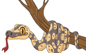 Le chevalier et le serpent