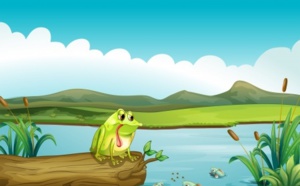 Petite histoire de la Grenouille et la Chouette