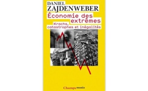 Economie des extrêmes : Krachs, catastrophes et inégalités