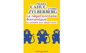 Le négationnisme économique