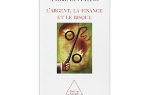 L’Argent, la finance et le risque