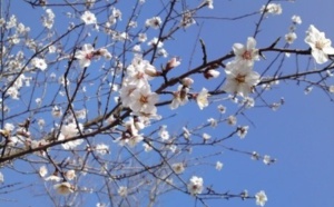 La Résilience stratégique et organisationnelle  La Résilience stratégique et organisationnelle