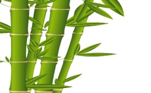 Quelle stratégie de croissance pour 2020 ? Quelle stratégie de croissance pour 2020 ?