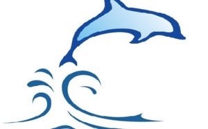 Innovation ordinaire et Valeur Client : Vers la démocratie en entreprise ?  Innovation ordinaire et Valeur Client : Vers la démocratie en entreprise ?