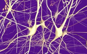 4.5 Groupware Management, dynamique de coopération et intelligence collective : vers l'entreprise de IV° type ? 4.5 Groupware Management, dynamique de coopération et intelligence collective : vers l'entreprise de IV° type ?