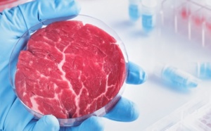 La viande de synthèse : Quel avenir en France ?